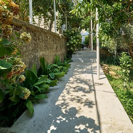 Lejlighed Vinea Dubrovnik