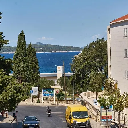 Appartamento Vinea *